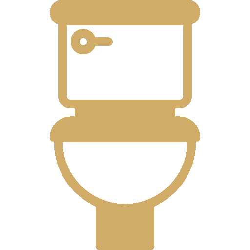 Bathroom Icon